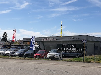 FELLINE AUTOMOBILES, Concessionnaire Automobile à Ensisheim