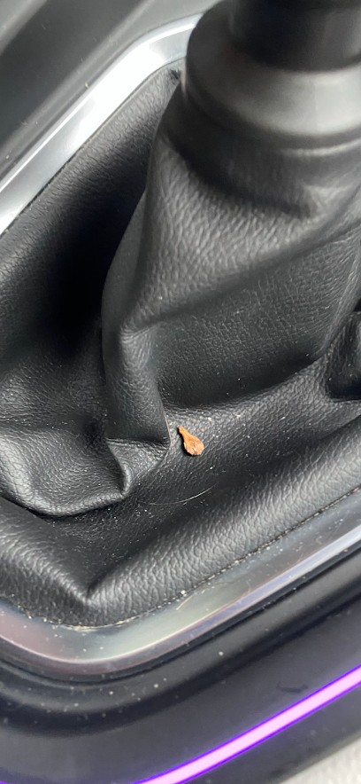 GARAGE VELOSO - Renault, Concessionnaire Automobile à Itteville