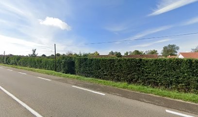 Ford at GARAGE PERFORMANCE AUTO, Concessionnaire Automobile à Attignat