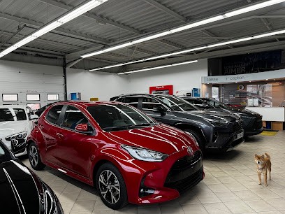 Nozzcar - Véhicules Neufs Et D'occasion, Concessionnaire Automobile à Meyzieu