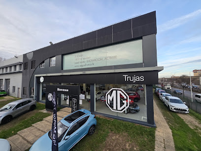 Mg Motor By Trujas Nanterre, Concessionnaire Automobile à Nanterre