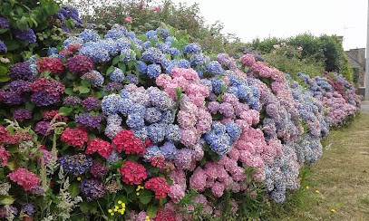 Paimpol Courtois Automobiles, Concessionnaire Automobile à Paimpol