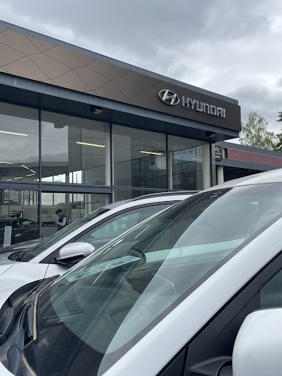 ORLEANS MOTORS KGM SsangYong, Concessionnaire Automobile à Orléans