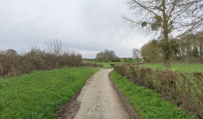 2BP AUTO MOTO, Concessionnaire Automobile à Daméraucourt