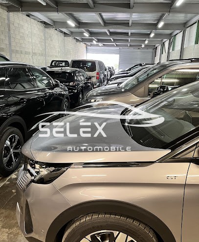 Selex Automobile, Concessionnaire Automobile à Stains