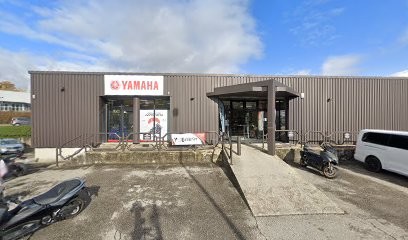 Carrier Automobiles, Concessionnaire Automobile à Seynod