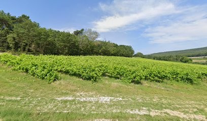 Ford at AUTO SERVICE LUBÉRON, Concessionnaire Automobile à Pertuis