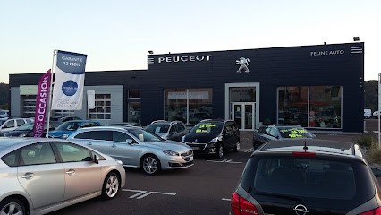 PEUGEOT BAR LE DUC - FÉLINE AUTO, Concessionnaire Automobile à Longeville-en-Barrois