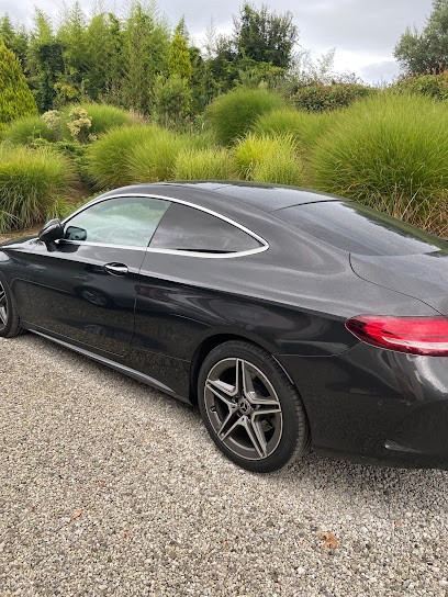 Martinelli Motors, Concessionnaire Automobile à Mougins