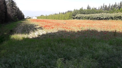 Jacquet Automobiles, Concessionnaire Automobile à Pernes-les-Fontaines