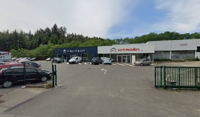 JEAN PIERRE TARDY GARAGE Peugeot, Concessionnaire Automobile à Saint-Genest-Lerpt