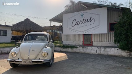 Cactus Collection, Concessionnaire Automobile à Préchac