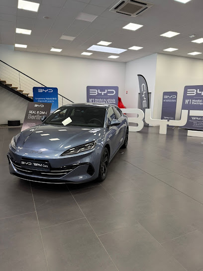 Bpm Cars - Byd Le Mans, Concessionnaire Automobile au Mans