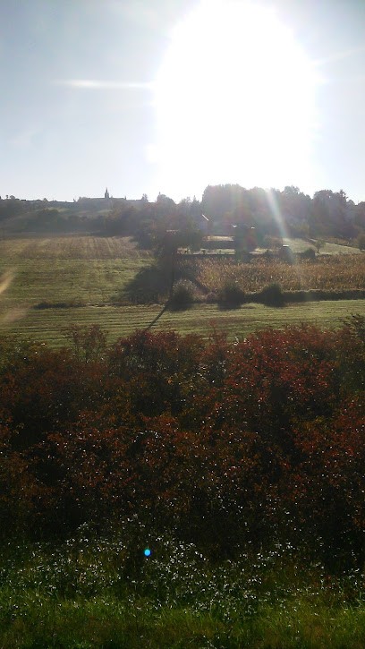 Garage Paille - Citroën, Concessionnaire Automobile à Montlieu-la-Garde