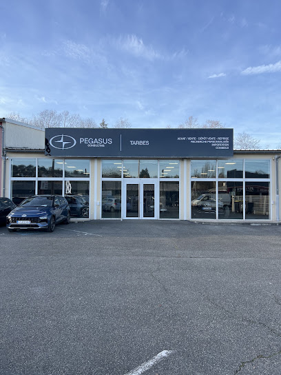 Pegasus Consulting 65, Concessionnaire Automobile à Juillan