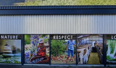 Honda, Concessionnaire Automobile à Ohlungen