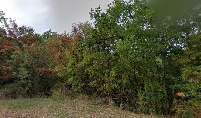 ALAIN TOCABEN AUTOMOBILES Dacia, Concessionnaire Automobile à Lamagdelaine