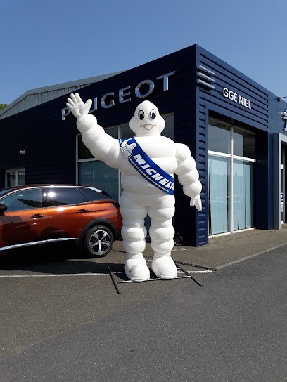 GARAGE NIEL FRANCIS - PEUGEOT, Concessionnaire Automobile à Yainville
