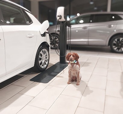 GENERAL AUTO METZ SAS Opel - Dealer, Concessionnaire Automobile à Thionville