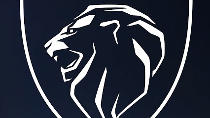 Garage De Tremblay, Concessionnaire Automobile à Tremblay-en-France