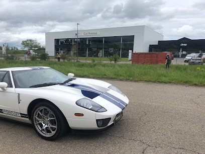 Car Avenue, Concessionnaire Automobile à Lesménils