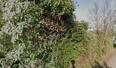 MP Automobiles, Concessionnaire Automobile à Dardilly