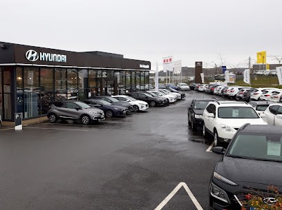 Hyundai Auch - Auch Automobile, Concessionnaire Automobile à Auch