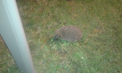 Business Car International, Concessionnaire Automobile à Taverny