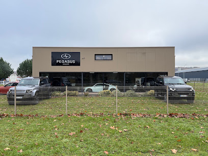 Pegasus Consulting 47, Concessionnaire Automobile à Layrac