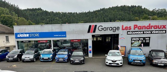 VOITURES SANS PERMIS LIGIER ET MICROCAR - GARAGE LES PANDRAUX, Concessionnaire Automobile à Lantriac