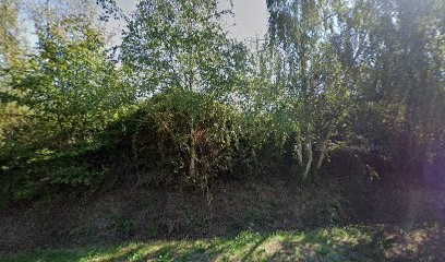 GARAGE BURON Dacia, Concessionnaire Automobile à Segré-en-Anjou Bleu