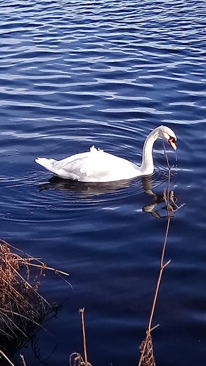Renault, Concessionnaire Automobile à Huelgoat