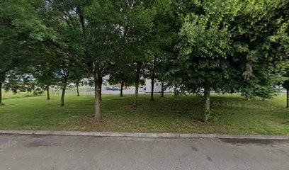 Renault GARAGE ROLIER, Concessionnaire Automobile à Lure