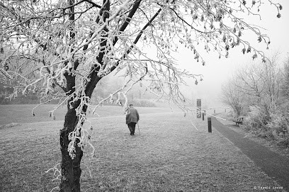 Parc Autos, Concessionnaire Automobile à Montfermeil