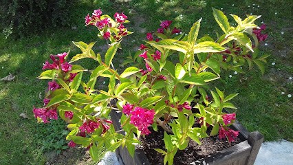 Garage Petit - Citroën, Concessionnaire Automobile à Jonzac