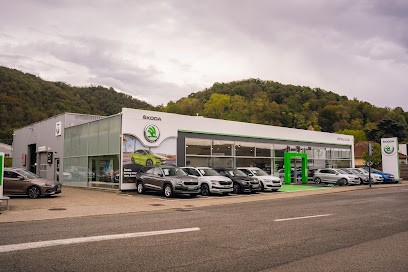 CENTRAL AUTOS, Concessionnaire Automobile à Vienne