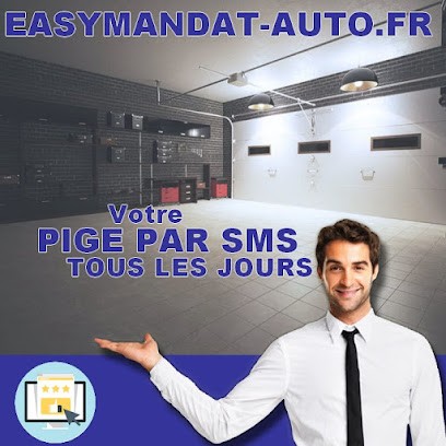 Easymandat, Concessionnaire Automobile à Gex
