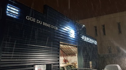 PEUGEOT - GARAGE DU BRAS D'OR, Concessionnaire Automobile à Chaumont-en-Vexin