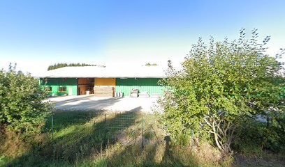 Sos 205 Gti, Concessionnaire Automobile à Malpas