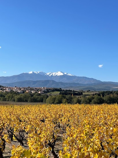 Bois Mirabet, Concessionnaire Automobile à Ponteilla