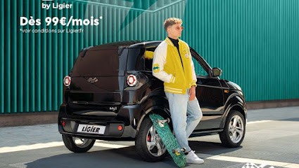 VOITURES SANS PERMIS LIGIER ET MICROCAR - VAUCLUSE SANS PERMIS 26/84, Concessionnaire Automobile à Montélimar