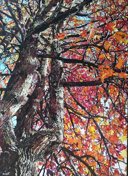 Renault Gaelle, Concessionnaire Automobile à Riec-sur-Bélon