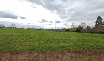 RENAULT GARAGE CYPIÈRE AGENT, Concessionnaire Automobile à Monplaisant