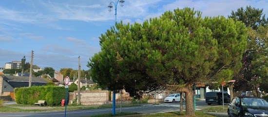 RENAULT SAINT VALERY EN CAUX Dacia, Concessionnaire Automobile à Saint-Valery-en-Caux