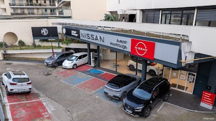 NISSAN Montrouge Paris Sud Service, Concessionnaire Automobile à Montrouge