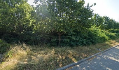 BMW Car Avenue Sarrebourg, Concessionnaire Automobile à Sarrebourg