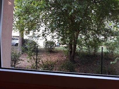 Cinar Burak, Concessionnaire Automobile à Mutzig