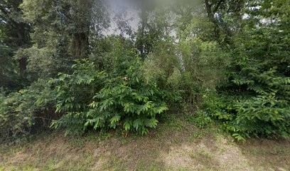 YF-CONSULT, Concessionnaire Automobile à Poyartin