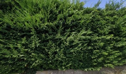 Mansour Karim, Concessionnaire Automobile à Grigny