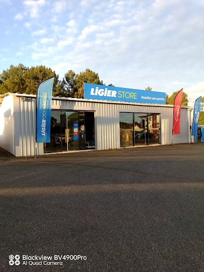 VOITURES SANS PERMIS LIGIER ET MICROCAR - GARAGE CAIGNIEU ET FILS, Concessionnaire Automobile à Mimizan